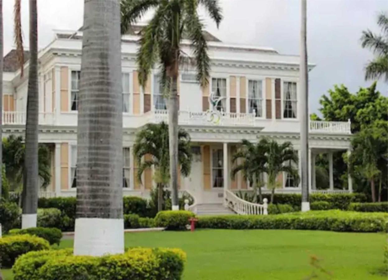 Comfy, Central & Elegant Studio New Kingston Exterior photo